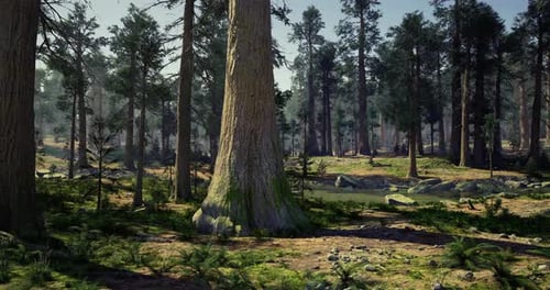 Paysage forestier majestueux avec des arbres imposants et un plan d'eau serein