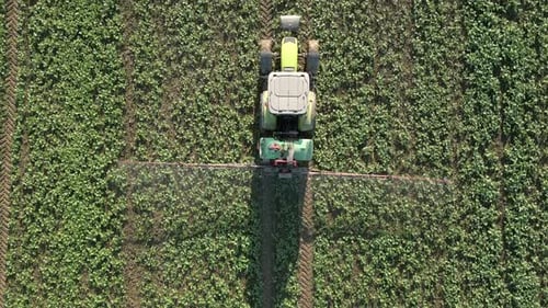 Tractor Sprays The Field Top View