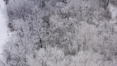Slow circling aerial shot of a spooky winter forest setting. 4k.