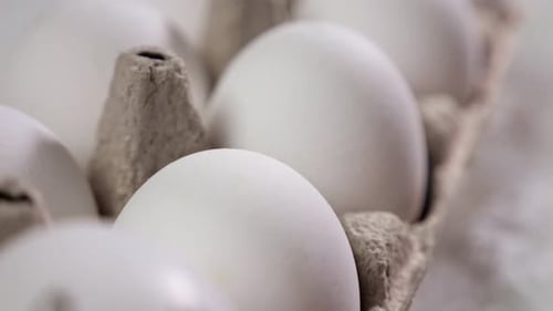 Sad Egg in a Carton, Close Up Shot