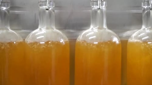 Engarrafamento de bebidas alcoólicas em uma destilaria