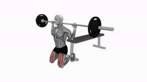 Kneeling Barbell Shoulder Press 3D Anatomy Exercise Animation