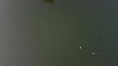 Vista de seguimiento aéreo de una botella de plástico flotando en un río o un océano sucios
