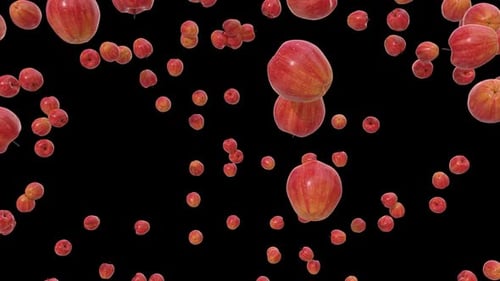 Red Apples Falling and Spreading Motion Graphic
