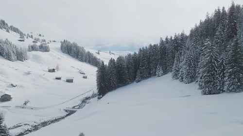 Beautiful Winter Landscape in Mountain. Forest with trees in snow on sunny winter day. Scenic View O