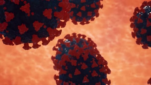 Close-Up of COVID-19 Virus Particles