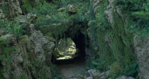 Mysterious Cave Entrance Surrounded By Lush Greenery in a Serene Forest