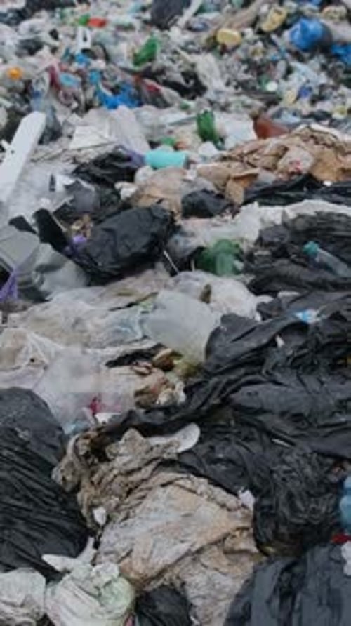 Sri Lanka Contaminated Beaches with Plastic Waste The Global Problem of Plastic Waste