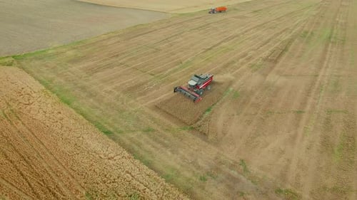Combine Harvester Working in Sunny Golden Rural Field