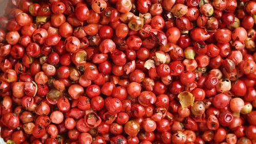 Pile of Red Peppercorns Rotating Close Up