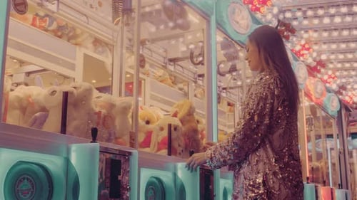 Beautiful Model in a Amusement Park