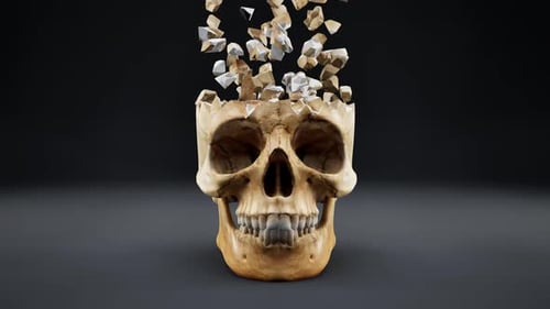 Human Skull Assembles from Fragments Animation