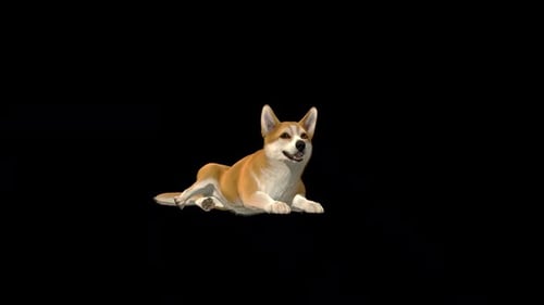 Animated Corgi Dog Lying Down
