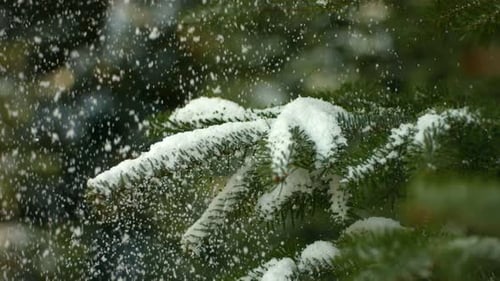 Snow Falling on Christmas Tree