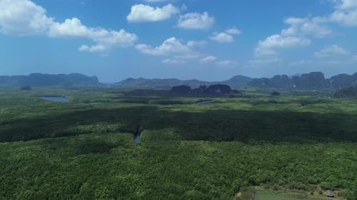 Aerial drone landscape of tropical river through mangrove forest with limestone cliffs in Thailand