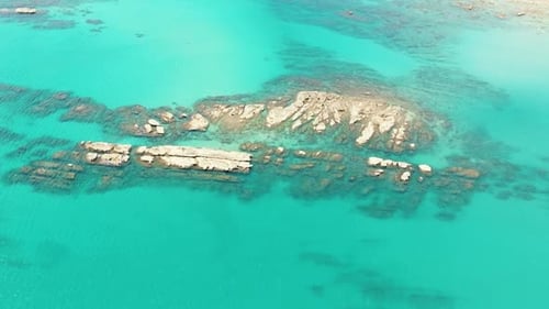 Tropical Sea with Turquoise Water