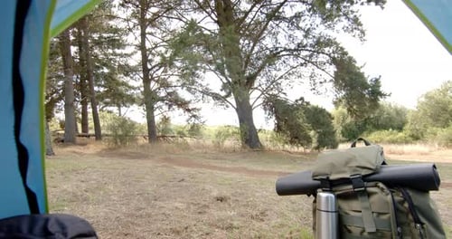 View from inside a tent captures a peaceful forest scene with camping gear in the foreground, with c