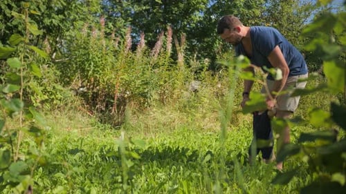 Slow motion full profile view of baby taking his first steps in nature, dad help