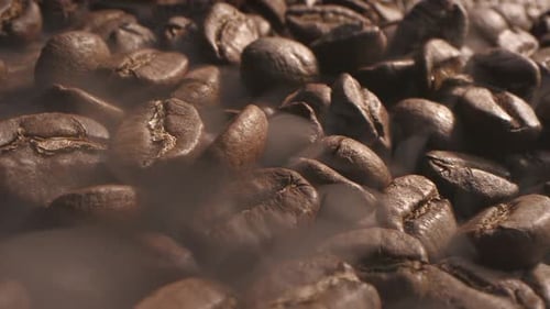 From Roasting Coffee Beans Soft Diffuse Smoke Emanating From Roasted Coffee Beans Shot in a Dark Key