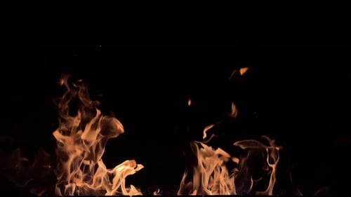 Burning Flames Dance Against a Black Background