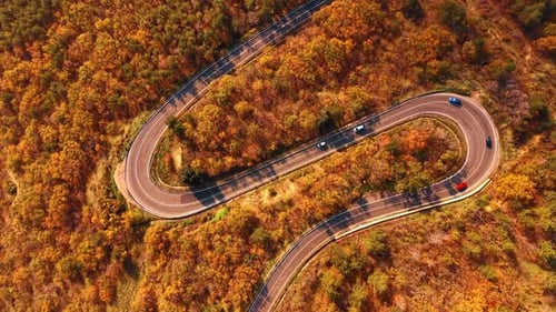Driving along a winding road through autumn trees in a colorful landscape.