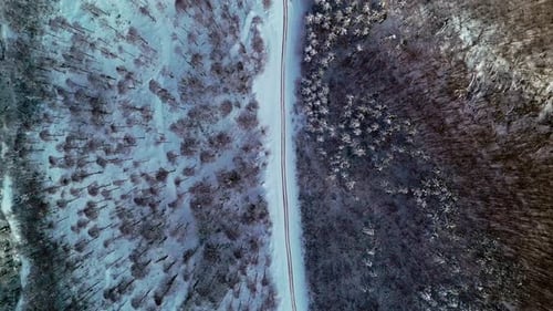 Winter Road Forest Aerial View 4k