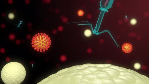 Bakteriophagen infizieren den Zellmechanismus der RNA-Injektion in eine lebende Zelle