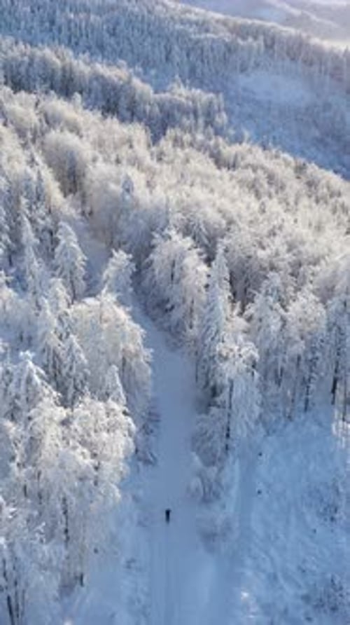 Aerial View of Man Ski Touring in Snowy Mountain Forest
