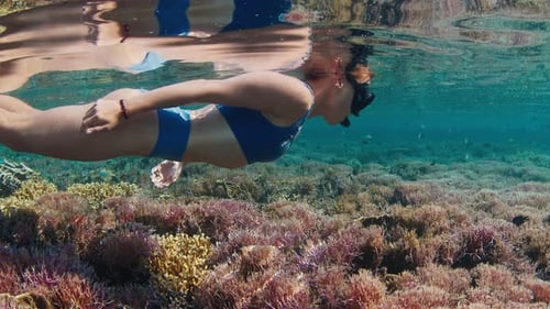 Woman Swims Underwater in the Tropical Sea and Slowly Moves Over the Vivid and Pink Coral Reef with