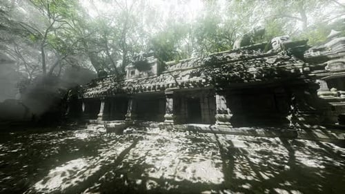 Ruines d'un ancien temple cambodgien entourées d'une végétation luxuriante et d'ombres
