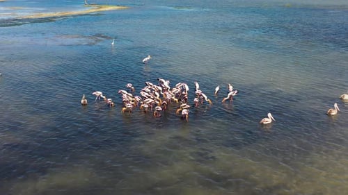 Tropical Landscape with a Lake Sri Lanka