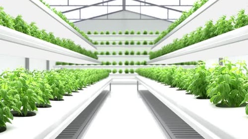 Modern Hydroponic Vertical Farm Flythrough Animation