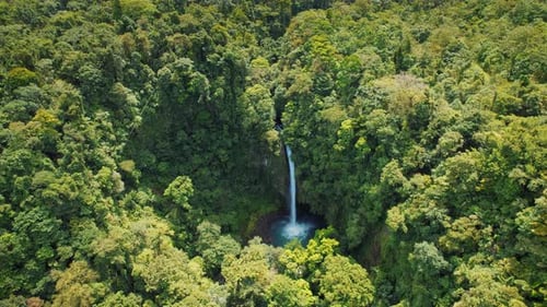 Tall secluded waterfall cascades through dense tropical jungle in Costa Rica