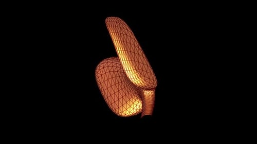 3D Human Organ Wireframe Model Animation