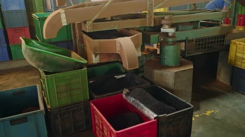 Automated Tea Leaf Sifter Sorts Fresh Leaves in Factory Processed Camellia Sinensis Moves Along