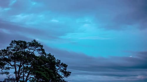 Timelapse Of Clouds Moving Over The Tree.