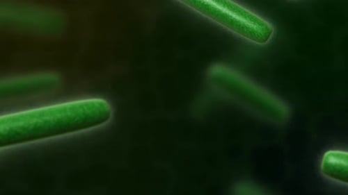 Green bacteria cells floating in dark environment