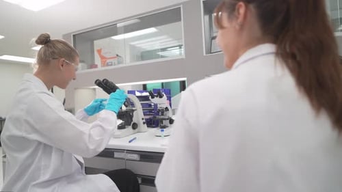 Women Scientists at Work in Research Laboratory