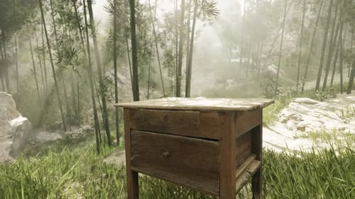 A Rustic Wooden Table Surrounded By the Serene Beauty of a Dense Forest