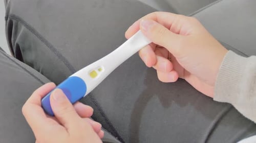 Closeup of Female Hands Holding a Pregnancy Test