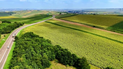 Rolling green hills and winding road under clear sky.