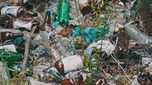 Illegal Garbage Dump of Plastic and Bottles in the Forest Pit Pollution