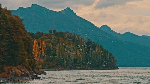 Lake, mountains and flying seagulls
