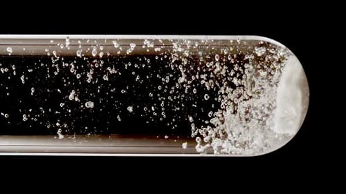 Macro Shot of Fine Air Bubbles Rising in Water in Glass Test Tube on Black Background Effervescent
