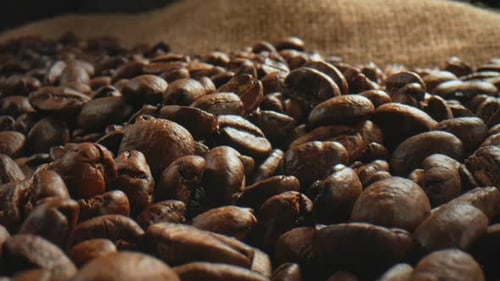 Pile of Coffee Beans on Burlap