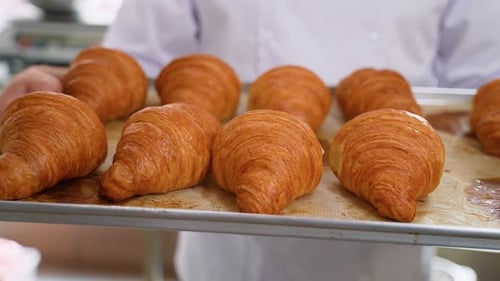 Baker Holding Ready Croissants at the Bakehouse Close Up