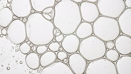 Transparent Bubble Cluster Cells Under a Microscope Cosmetic Gel Fluid with Molecule Bubbles