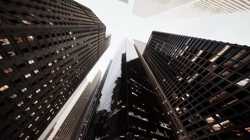 Architectural Giants Gazing Skyward Amidst Urban Majesty