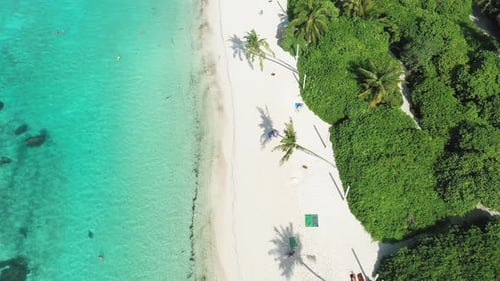 Aerial view of tropical beach with palm trees and people, Maldives.