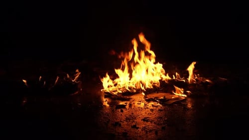 Bright Flames Burning on a Dark Background